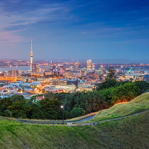 View of Auckland