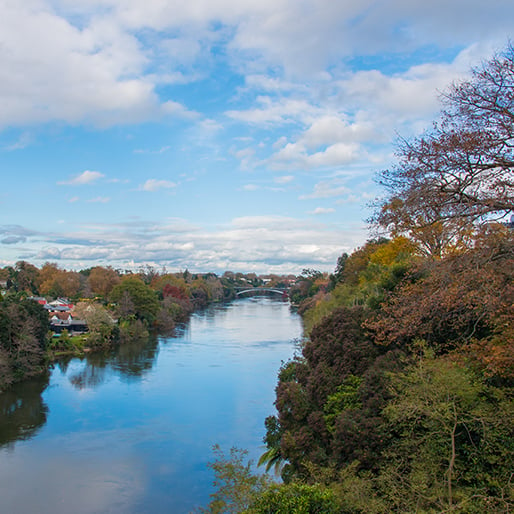 View of Waikato River, Hamilton